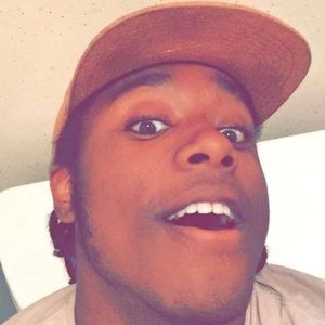 Meet your Posher, D. demetri